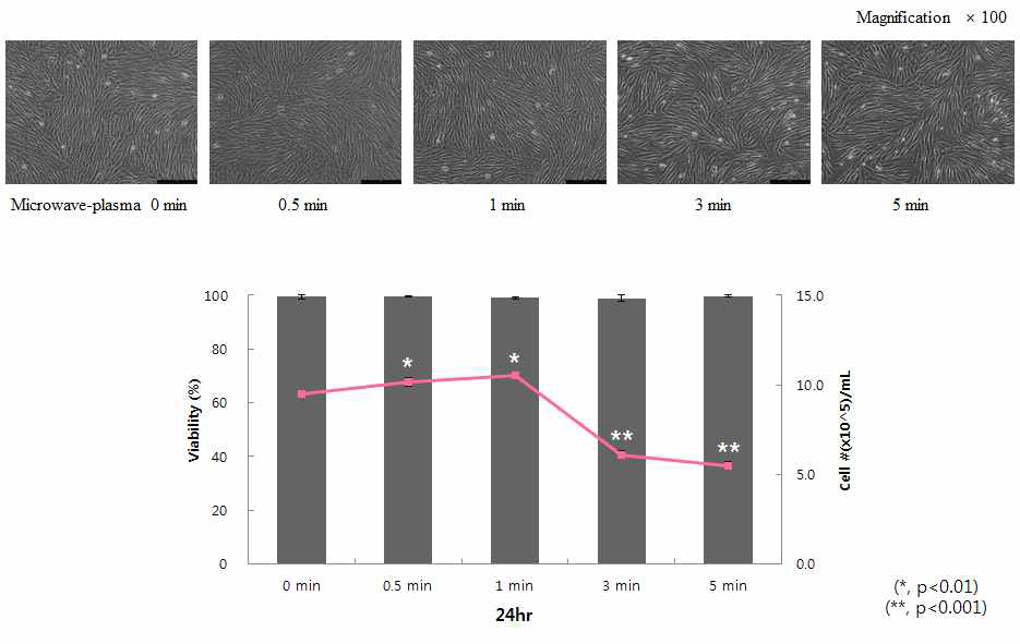 마이크로파 플라즈마 시간별 처리 시 섬유아세포의 세포 생존율