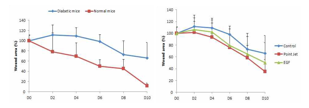 마이크로파 플라즈마의 당뇨모델에서의 상처재생 유효성 평가 비교