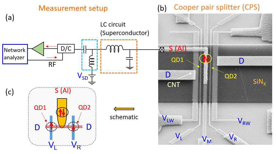 (a) λ/4 레조네이터 및 측정 셋업. Network analyzer를 이용하여 S11 (RF reflection)을 측정함. (b) 쿠퍼쌍분리소자의 SEM 이미지. 두 양자점 (QD1과 QD2) 사이에 쿠퍼쌍 source로 초전도 전극 알루미늄(Al)을 제작하였다. (c) 쿠퍼쌍분리소자의 구조도