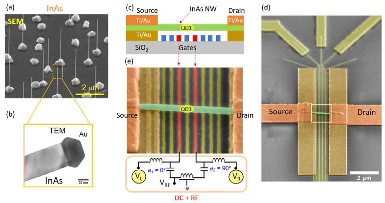 (a) 성장한 InAs의 대표적 SEM 이미지. (b) InAs TEM 이미지. single crystalline 구조를 하고 있다. (c) InAs 소자의 구조. 실리콘 기판에 multiple bottom gate와 Supporting bar (갈색)를 제작한 후, 나노와이어를 micro-manipulator를 이용하여 transfer함. Ti/Au source-drain 전극으로 사용했다. (d) 제작한 소자의 SEM 이미지. (e) (d)에서 제작한 소자를 확대한 이미지. gate를 이용하여 single dot 또는 double quantum dot을 자유롭게 tuning 할 수 있다. 그림 (e)는 single dot의 예이다. Charge pump을 위하여 VL와 VR에 Bias-tee를 사용하여 AC+DC를 인가하여 tunnel barrier를 주기적으로 modulation 할 수 있다