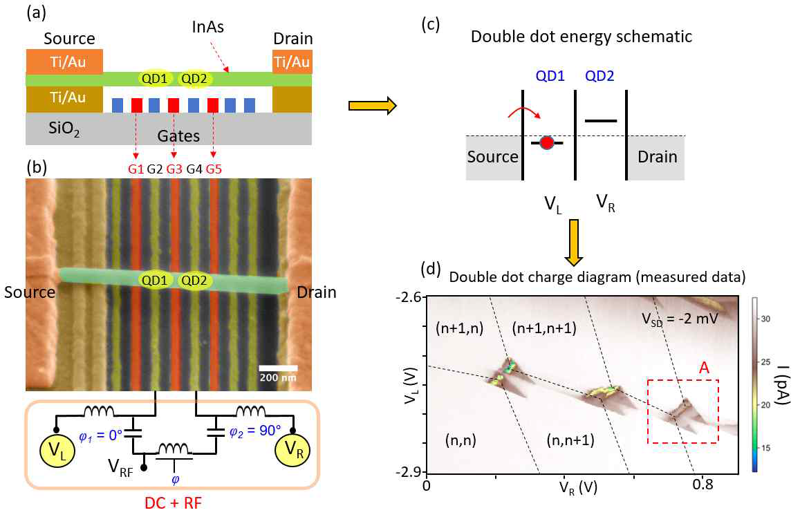 (a) InAs double quantum dot configuration. 게이트 G1, G3과 G5을 이용하여 이중양자점을 형성함. (b) 소자의 SEM 이미지와 double quantum dot charge pump 측정 configuration. 양자점 QD1과 QD2는 각각 left와 right gate에 의해 제어되고, charge pump를 위해서 양쪽 게이트에 sine wave의phase가 90도 shift된 신호가 각각 주입됨. (c) Double quantum dot energy band diagram. (d) 측정한 double quantum dot charge diagram