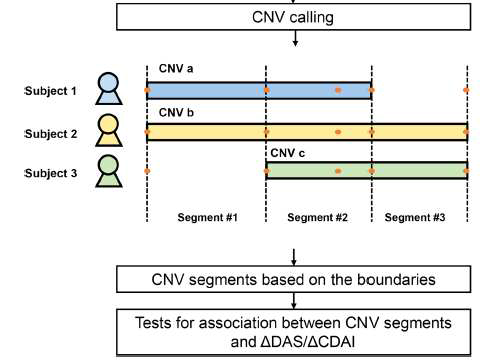 약물반응 연관 copy number variations (CNVs)