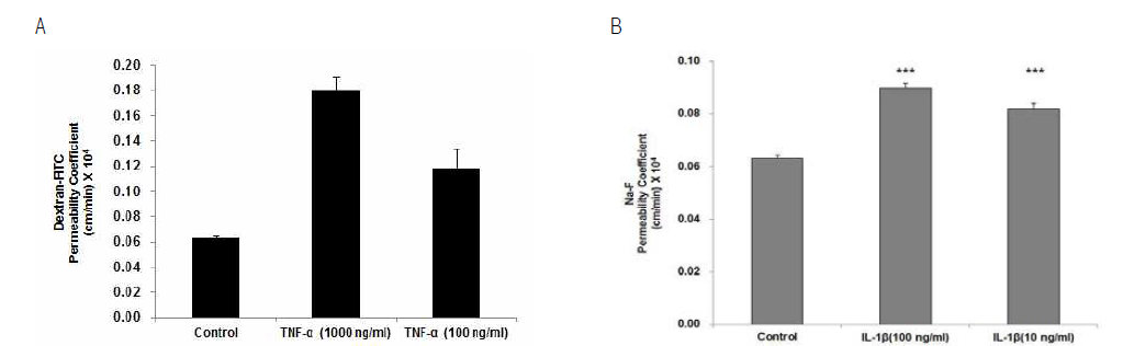 혈뇌장벽 투과도 측정 (A) Dextran-FITC permeability 및 (B) Na-F permeability