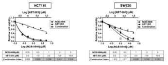 NCB-0846과 ABT-263의 병용치료 효과