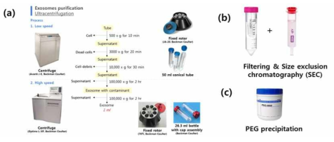 엑소좀 생산을 위한 분리방법 구축 (a) ultracentrifugation, (b) filtration *SEC, (c) PEG 침전법