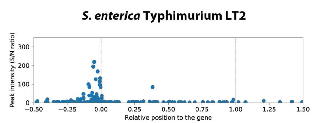 살모넬라균(S. subsp. enterica ser. Typhimurium LT2)의 Fur 결합 위치 경향성