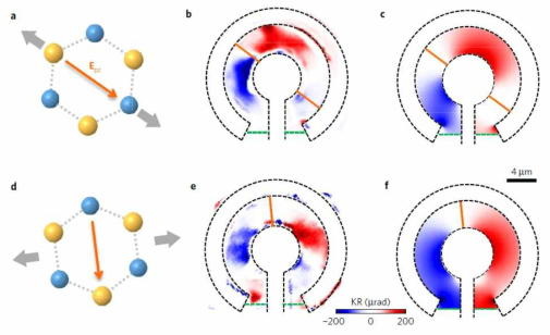 Strain 방향에 따른 piezoelectric field (Epz)와 전류 (J)에 의해 생성되는 valley magnetization 측정 결과