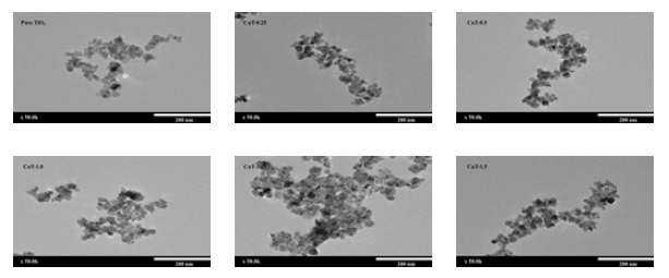 SEM images of synthesized pure TiO2, CuT-0.25, CuT-0.5, CuT-1.0, CuT-1.25, and CuT-1.5