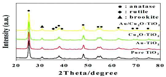 XRD results of undoped TiO2, Au/TiO2, Cu2O-TiO2, and Au/Cu2O-TiO2