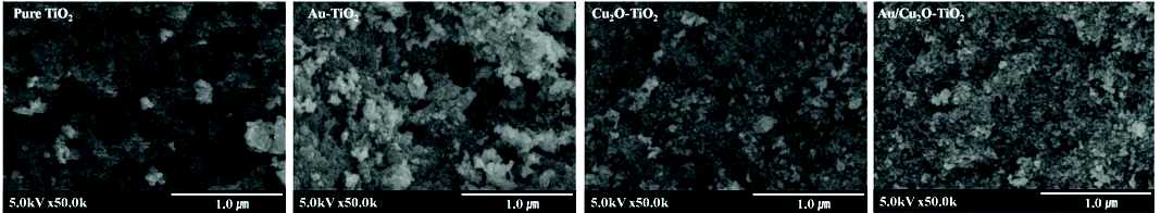 FE-SEM images of undoped TiO2, Au-TiO2, Cu2O-TiO2, and Au/Cu2O-TiO2