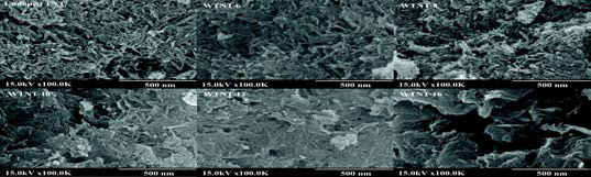 SEM images of undoped TNT and WTNT with different tungsten oxide loadings