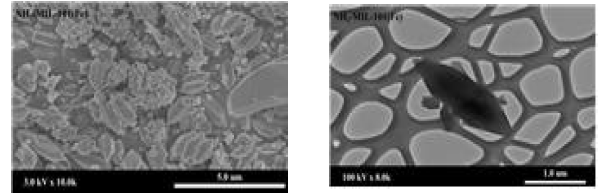 FE-SEM(a) and TEM(b) images of synthesized NH2-MIL-101(Fe)