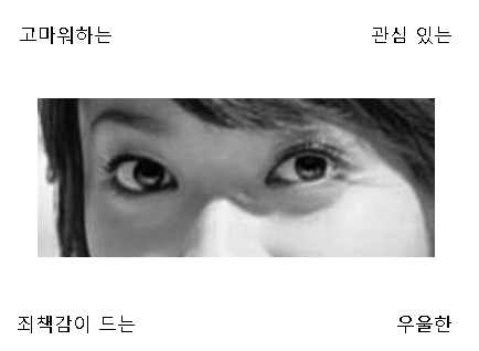 Asian Reading the Mind in the Eyes Test의 예시