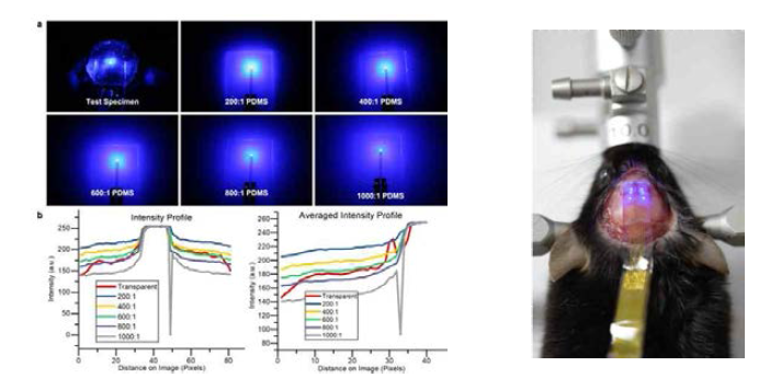 투명화된 설치류 두개골과 phantom skin에 부착한 단일 광자극용 전자피부의 측면 방향으로의 빛 퍼짐 측정 및 분석과 동물 적용