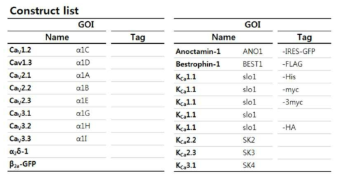1차년도에 확보한 다양한 이온채널의 유전자