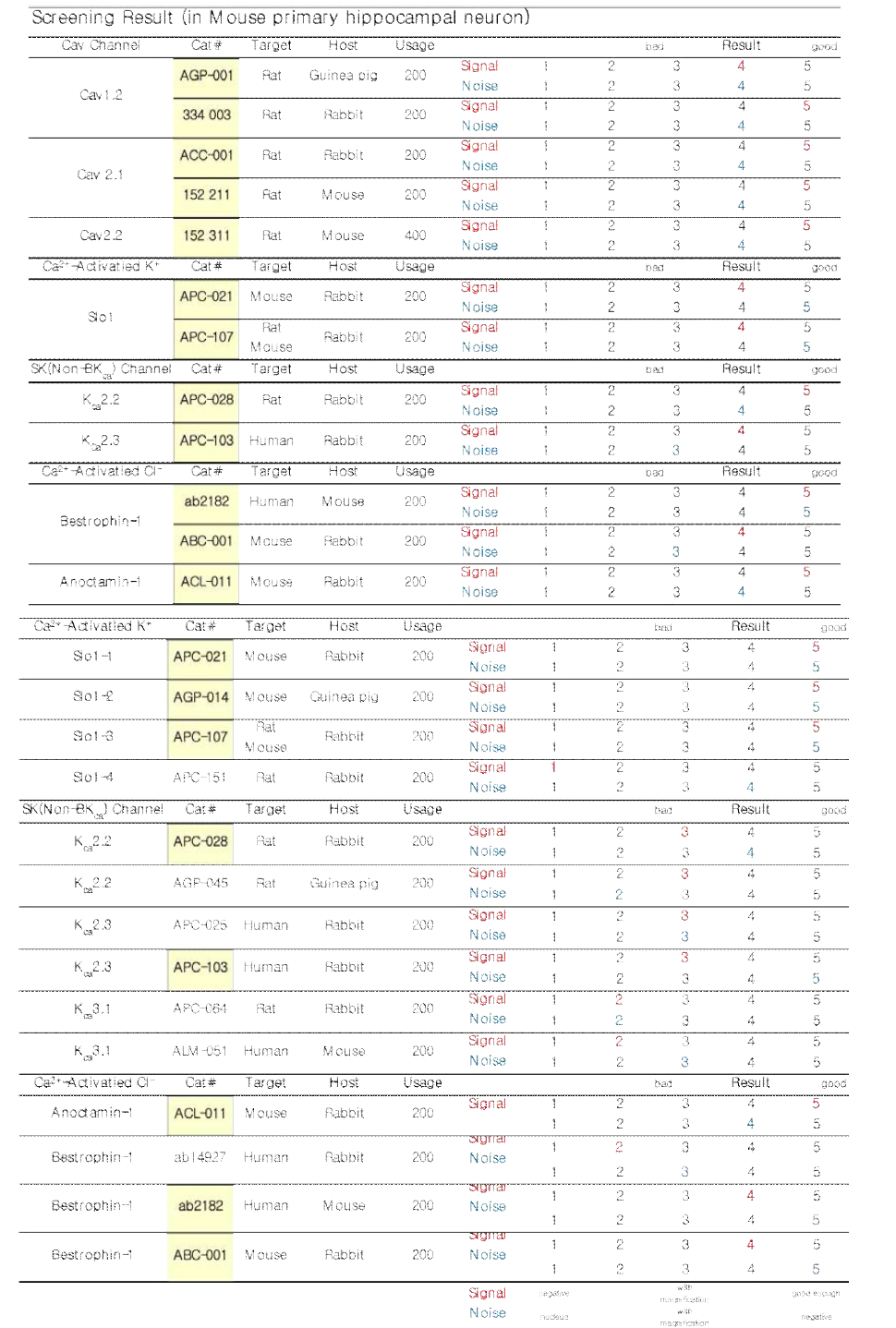 마우스 초대배양 해마신경세포에서 면역염색을 통한 검증한 항체 선별 리스트