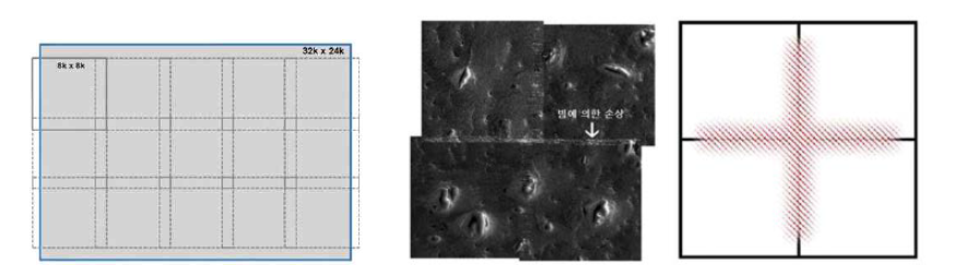 모자이크 방식의 대영역 이미징과 전자빔에 의한 조직 손상 최소화. 주사전자 현미경 기반의 모자이크 방식 이미징 시 타일이 겹치는 곳에 전자빔이 여러 번 조사되면서 시료의 표면 손상으로 인한 이미지 왜곡현상 발생 가능