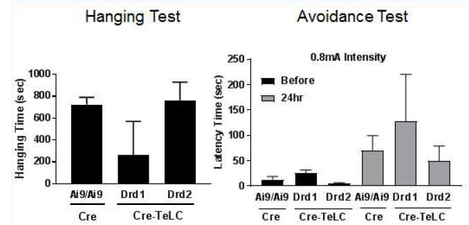 TELC 또는 GFP를 주입한 치랑핵 도파민 신경세포 활성 억제모델에서 Hanging test와 Avoidance test 결과