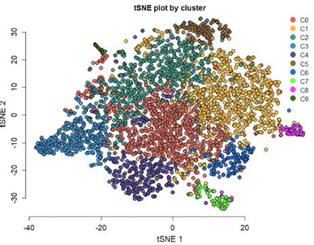단일세포 시퀀싱 클러스터 분석