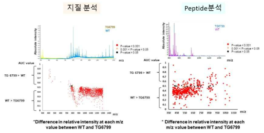 MALDI-IMS 기법을 통한 정상마우스(WT)와 치매모델동물(TG6799)의 전전두엽을 포함한 대뇌피질 영역에서 분석된 질량적(m/z, mass to charge ratio) 분포도