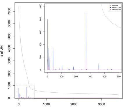 세포들 중 MECP2 발현과 바코드가 읽힌 세포들을 나타낸 histogram