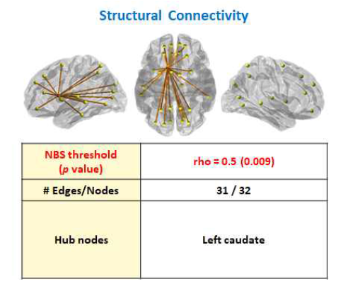 Structural Connectivity