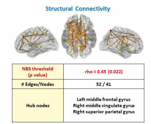 Structural Connectivity(3)