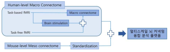 마크로 스케일 뇌 커넥텀과 메조 스케일의 뇌 커넥톰을 통합 분석하기 위한 파이프라인
