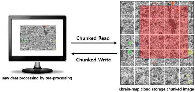 Kbrain-map 브라우저에서 3D이미지 I/O