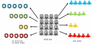 오거노이드 코호트와 환자 코호트의 일치 예상 도식 맞춤형 치료제 예측 시스템의 근거 제시