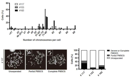 환자 유래 오거노이드의 염색체 수 및 PMSCS 분석
