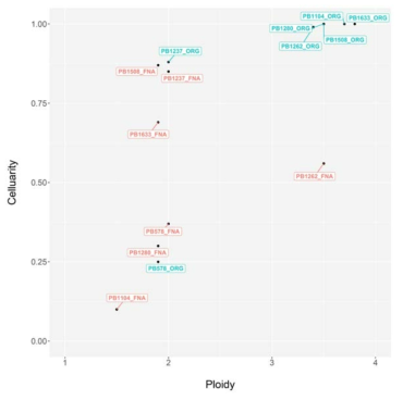 3-D 오거노이드와 원조직간 ploidy와 cellularity