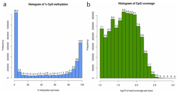 생산된 Methyl-seq에 대한 quality control 결과