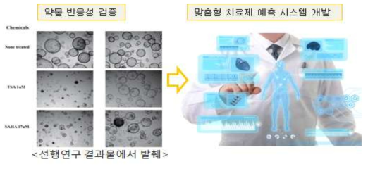 한 개의 유전인자의 차이에 의한 마우스 오거노이드의 약물 반응성 변화 (선행연구)