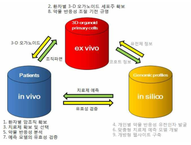 연구의 개념도