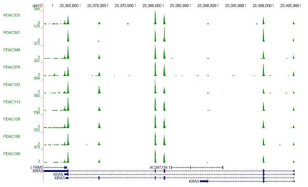 UCSC genome browser으로 본 KRAS 위치의 exome RNA-seq데이터