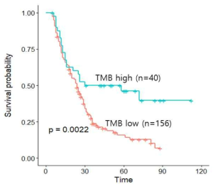 Tumor Mutation Burden Analysis