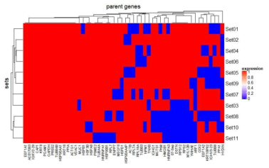 pseudogene으로 발현되고 있는 parent gene의 패턴