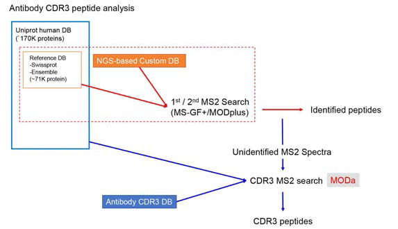 CDR3 분석 파이프라인
