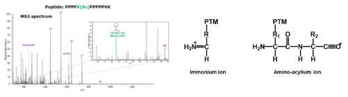 Acentylated lysine의 immonium ion peak(왼쪽) immonium ion과 그의 amino-acylium ion의 화학적 구조(오른쪽)