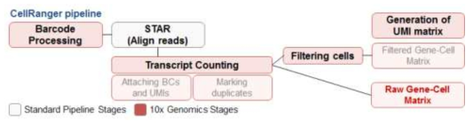 단일세포 전사체 시퀀싱 데이터 pre-processing 파이프라인