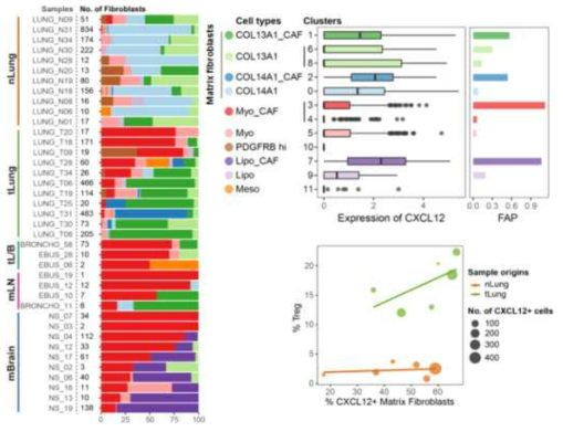 각 샘플별 Fibroblast의 subset 비율 변화 및 FAP인자의 발현 비교, CXCL12+ Matrix Fibroblast와 Treg 침투율 간의 상관관계