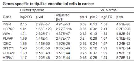 폐암 내 Tip-like endothelial cell에 특이적인 유전자 리스트