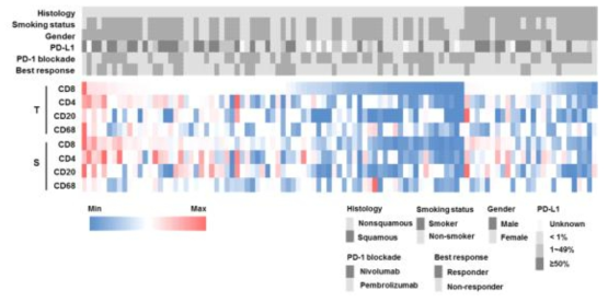 폐암의 면역세포 분포 heatmap