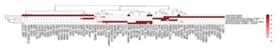 Primary tumor에서 tS2, mo-Mac, Exhuasted CD8+ T 세포간 유의한 Ligand-receptor interaction 리스트