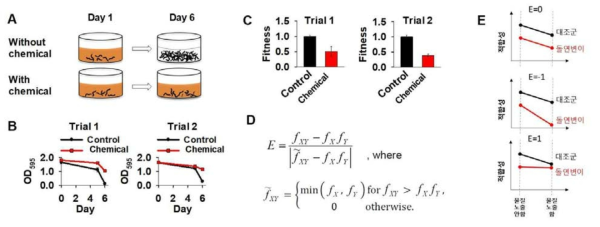 Fitness assay 원리. A: 예쁜 꼬마 선충을 화학물질 노출시킨 후 최대 7주일간 배양. B: 대장균이 감소된 정도를 OD로 측정. C: 측정된 결과값을 바탕으로 fitness 값 계산. D: fitness 값 계산 공식, E: 적합성의 3가지 경우