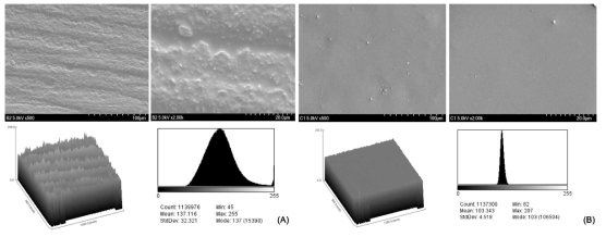 주사전자현미경으로 관측한 시편의 표면 이미지(왼쪽: 500×, 오른쪽: 2000×)와 표면 이미지의 히스토그램 (256 level, 0=black, 255=white). (A) 항균처리를 하지 않은 시편 표면, (B) 항균처리를 한 시편 표면