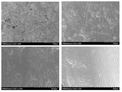 SEM을 이용하여 관측한 PMMA의 표면