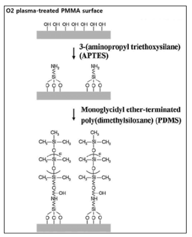 PDMS 코팅 도식도