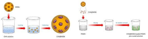 CHX@MSN 복합물을 PDMS에 로딩